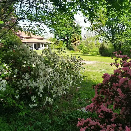 Paradiso Nascosto Del Maggiore 3*